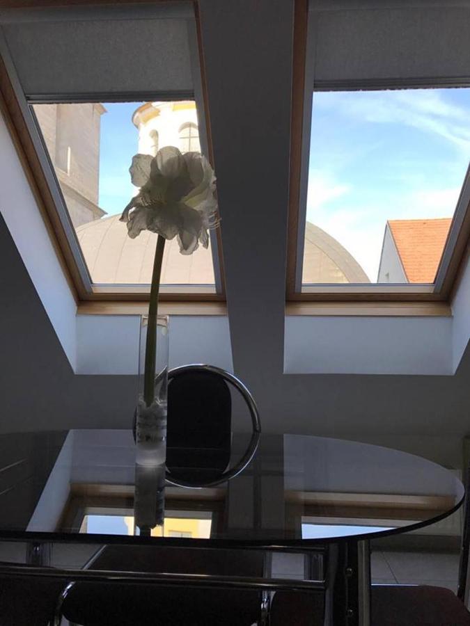Vacek Pod Vezi 4*