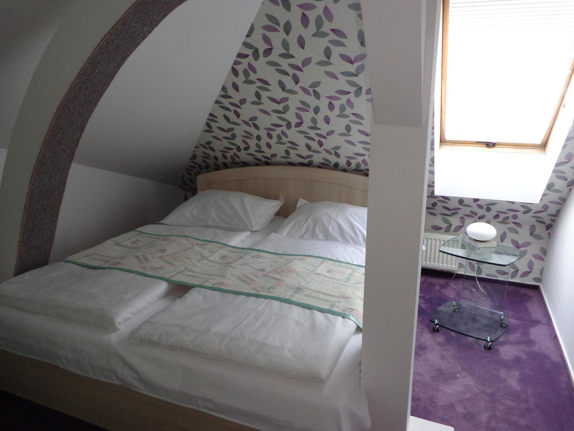 Vacek Pod Věží Hradec Králové