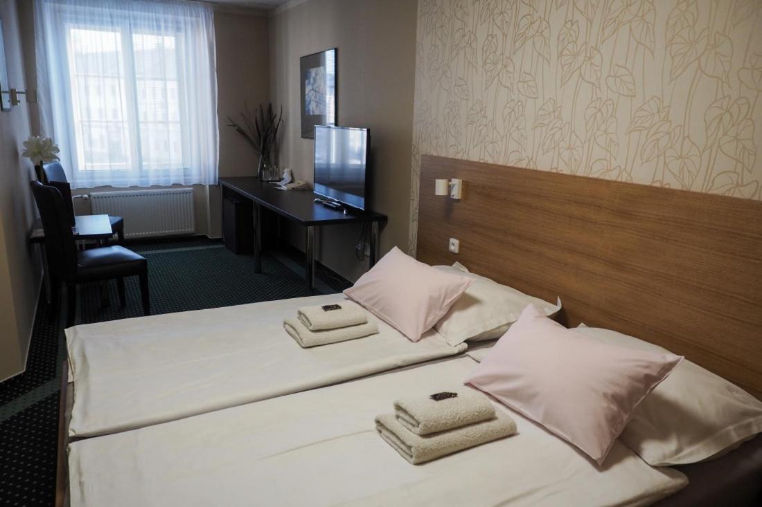 Vacek Pod Vezi Hradec Králové